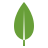 Node.js